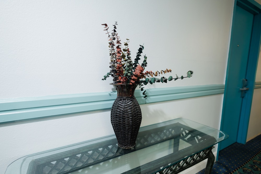 Garnet Inn & Suites Orlando - photo 3