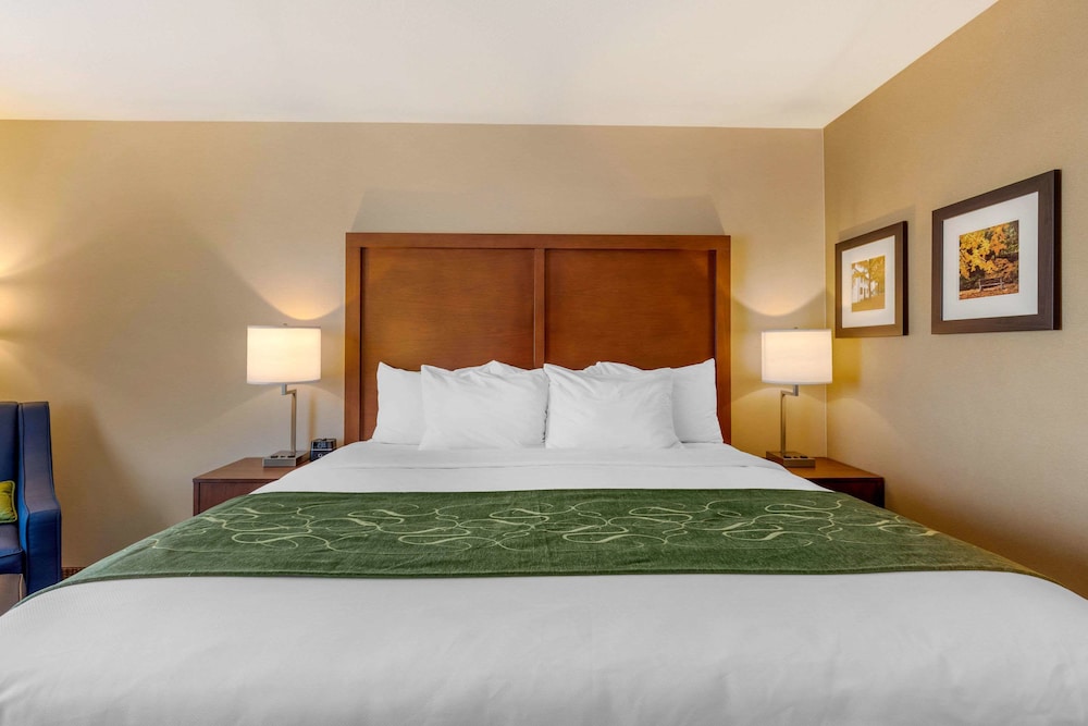 Comfort Inn & Suites Schenectady Scotia - photo 6