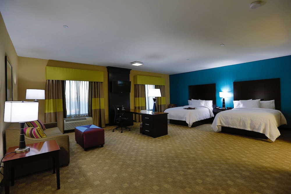 Hampton Inn & Suites Missouri City TX - photo 16