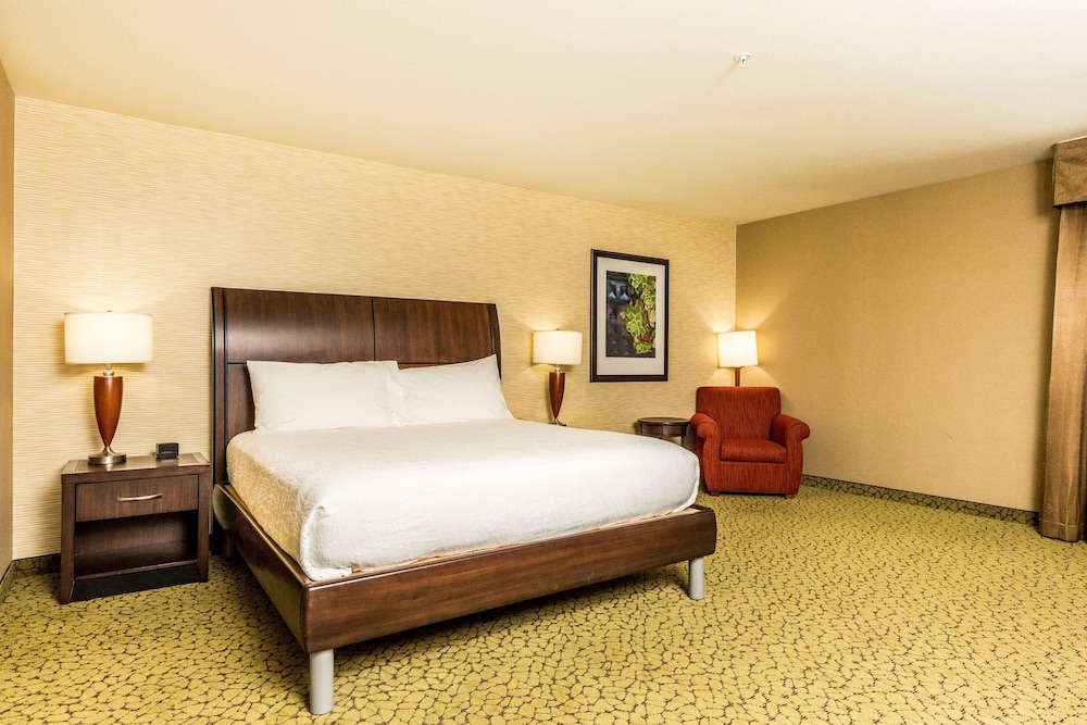 Hilton Garden Inn St. George - photo 19