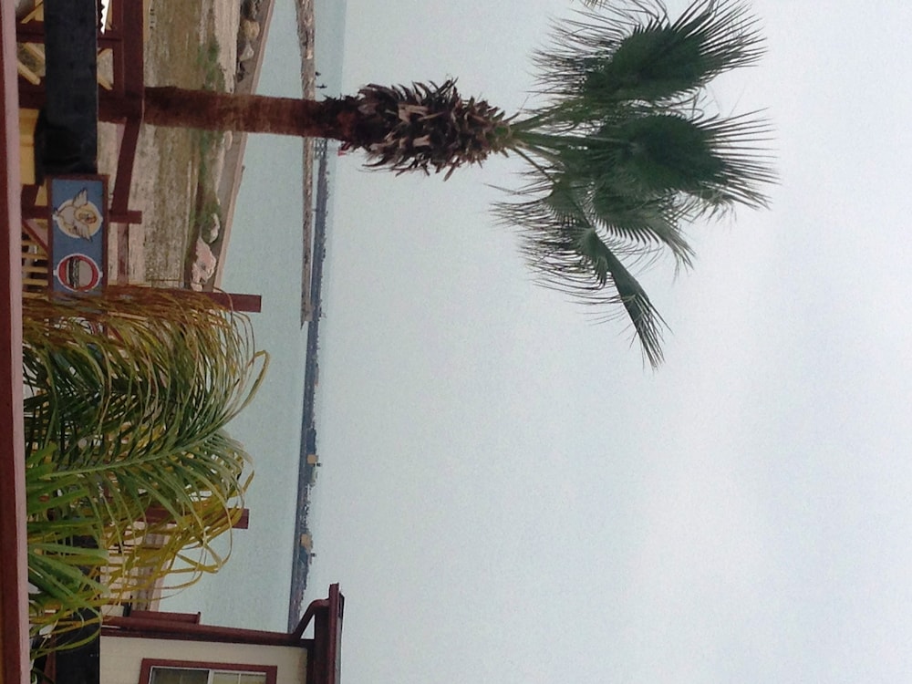 Capri Beach Hotel - photo 165