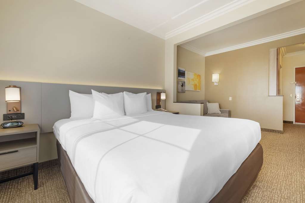 Comfort Suites Oceanside Camp Pendleton Area - photo 17
