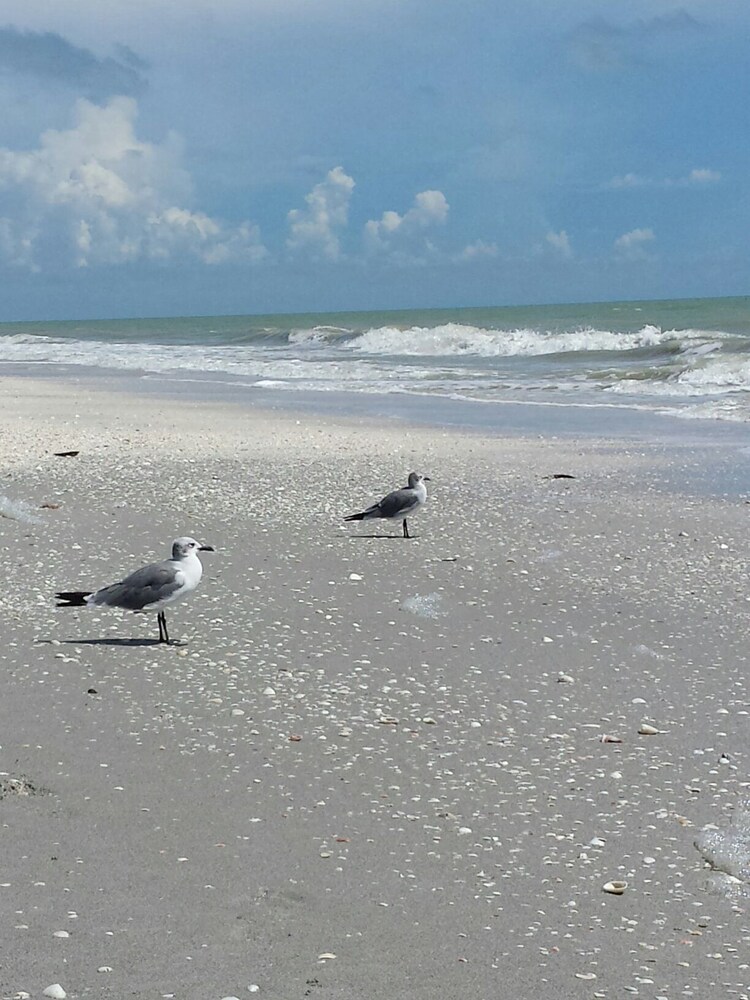Waterside Inn on the Beach - photo 84