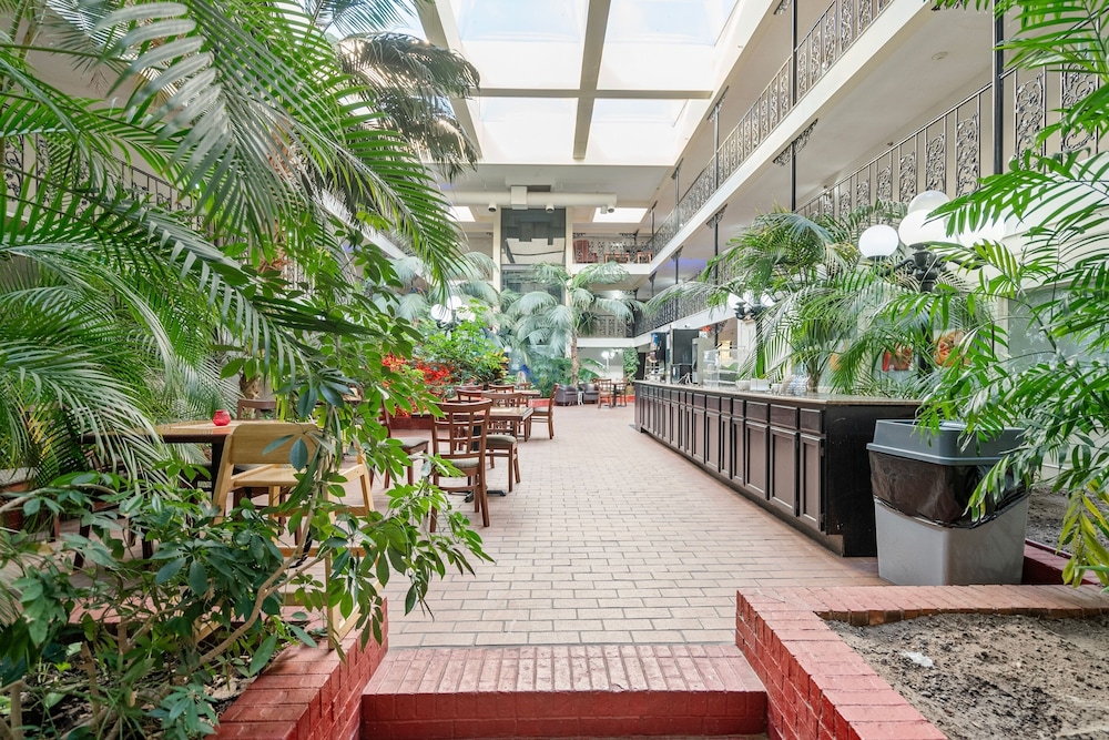 Coratel Suites - photo 15