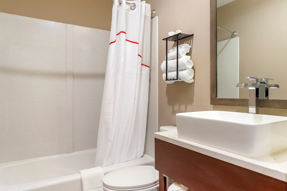 Red Roof Inn Plus Jamaica Ny Jfk Airport - photo 20