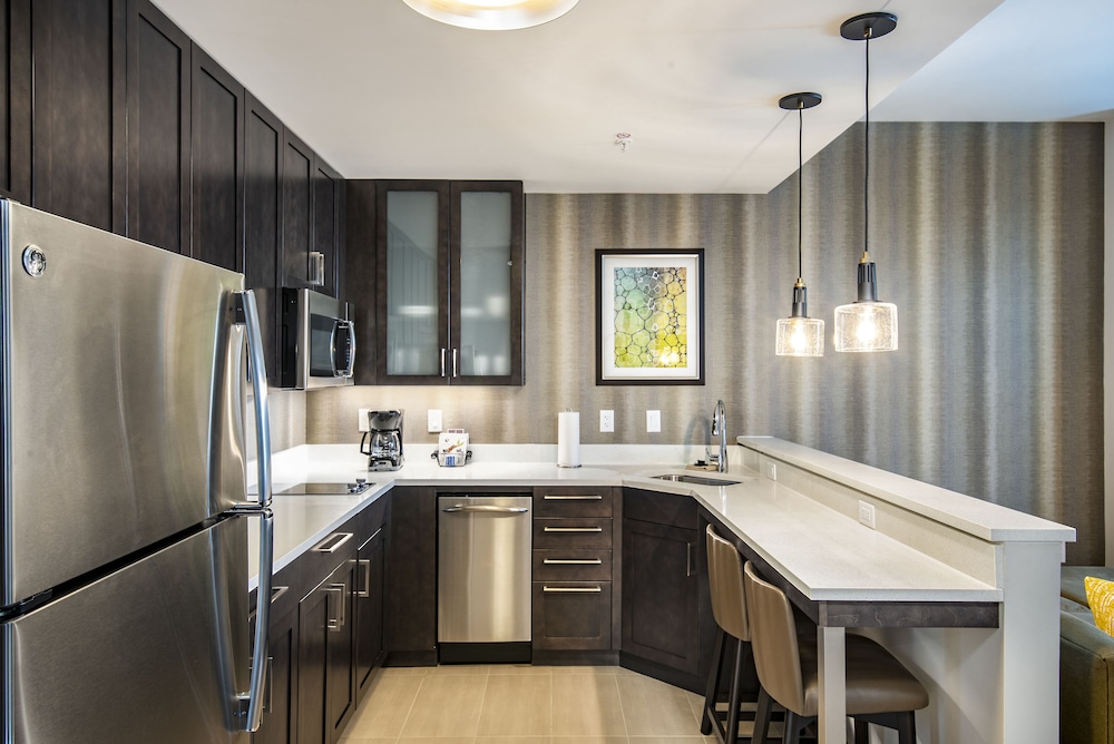 Residence Inn by Marriott Houston Medical Center NRG Park - photo 9