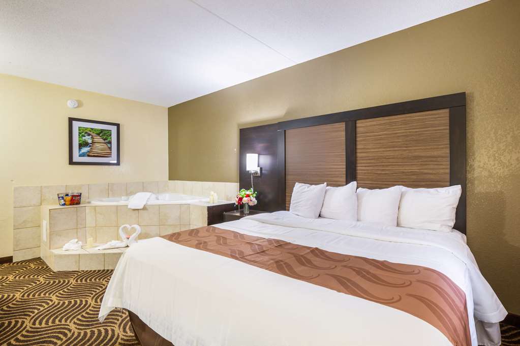 Quality Inn & Suites Florence Cincinnati South - photo 23