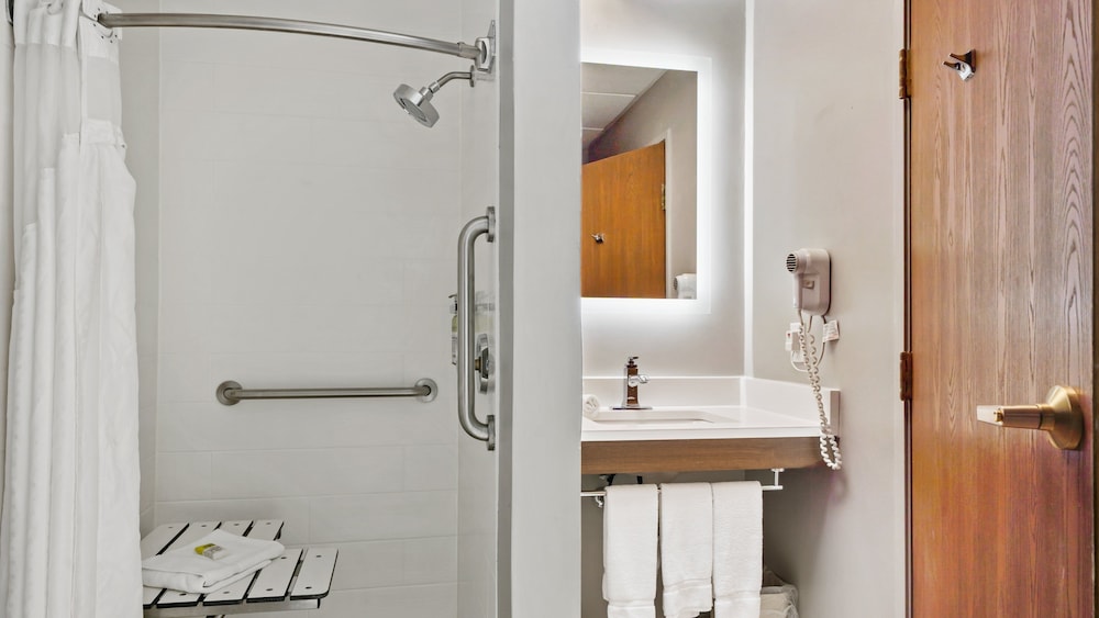 Holiday Inn Express Hotel & Suites Bad Axe by IHG - photo 8