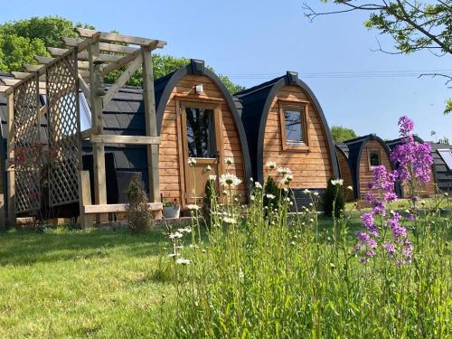Rabbit Glamping Pod - carbon neutral hotel in Unknown City