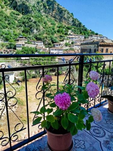 N’Gorice — Berat — photo 3