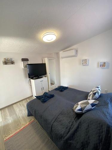 Baja Van Vendégház in Baja, Hungary