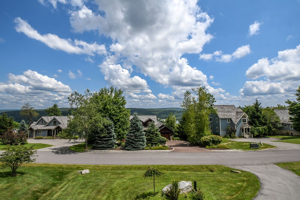 Bear's Eye View - photo 48