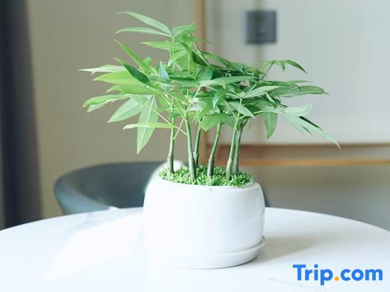 Ruihua Hotel - last minute hotel in Dongguan