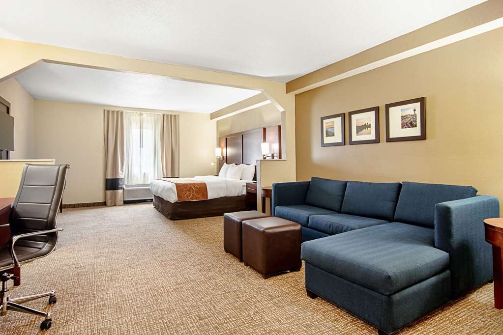 Comfort Suites Knoxville Airport - photo 20