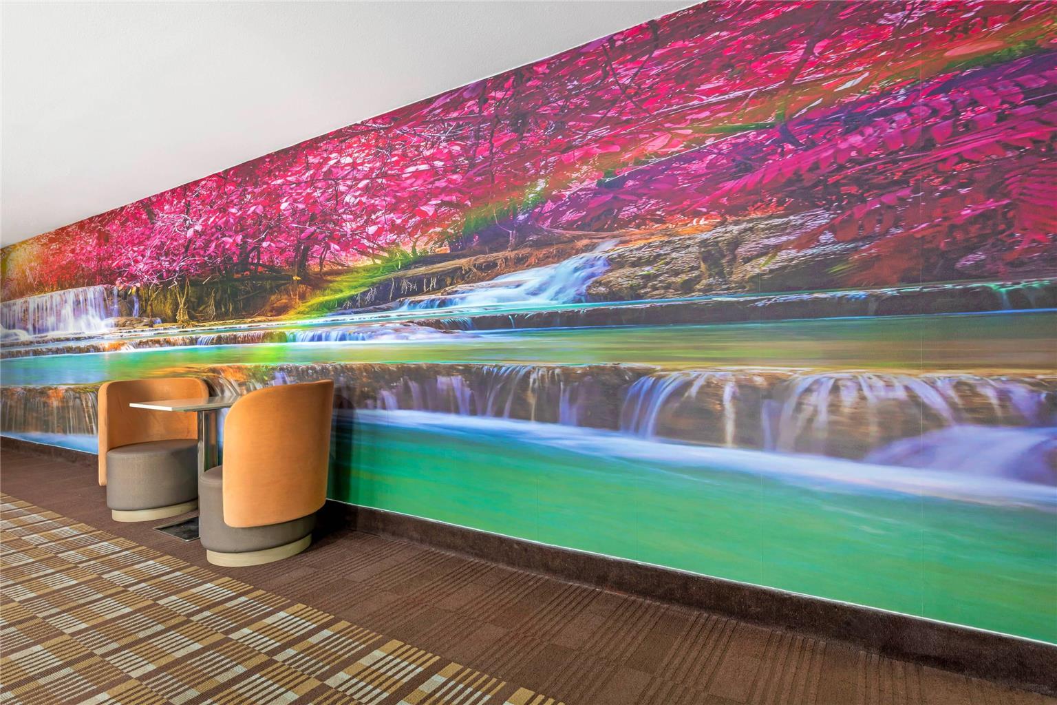 Quality Inn Mesquite Dallas East - photo 6