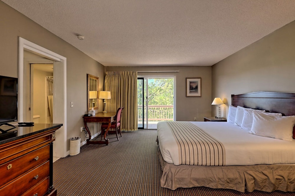 Kingwood Resort - photo 6
