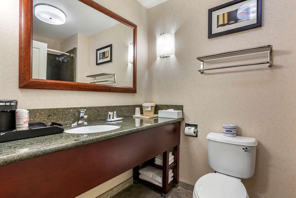 Comfort Suites Fernley - photo 33