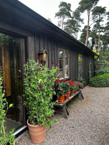 Orangeriet in Tvaaker, Sweden