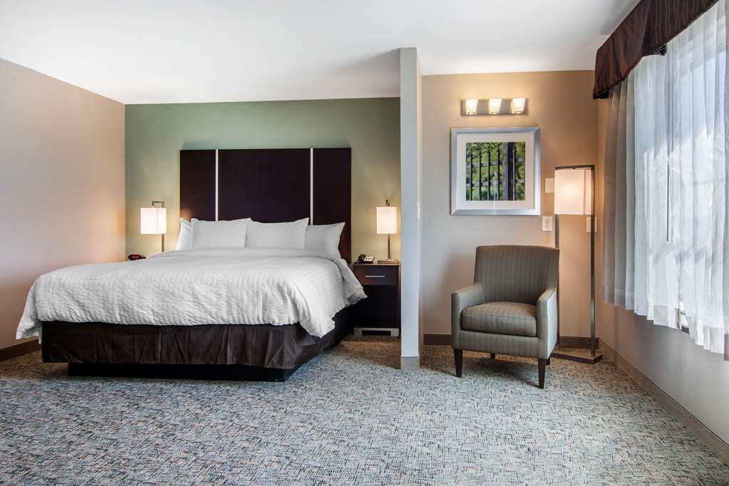 Clarion Inn & Suites Atlanta Downtown - photo 7