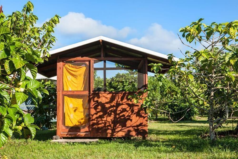 Kirpal Meditation and Ecological Center - photo 26