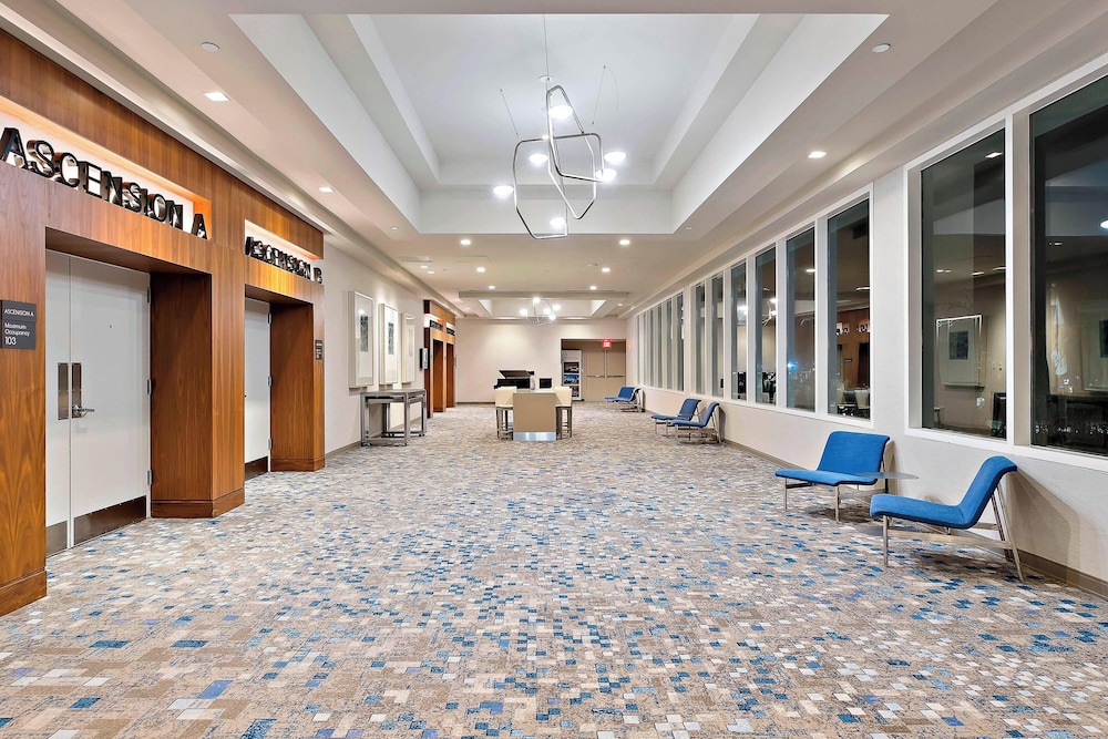 Marriott Orlando Downtown - photo 44