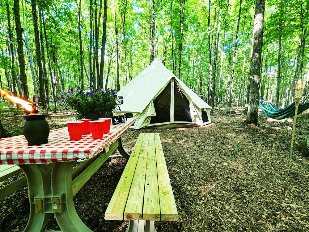 Coadys' Point of View Lake Resort - photo 148