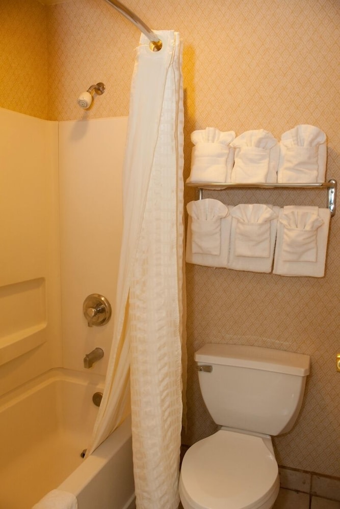 Bay Inn and Suites at Seaworld - photo 28