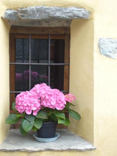 Le Chaton Fait Ronron - carbon neutral hotel in Quart