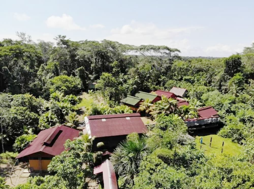 Ecoadventure Amazon 10991378 — Indiana