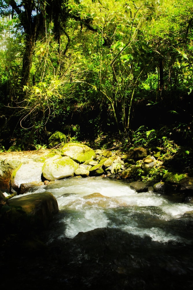 Eco hotel primavera in La Vega, Colombia