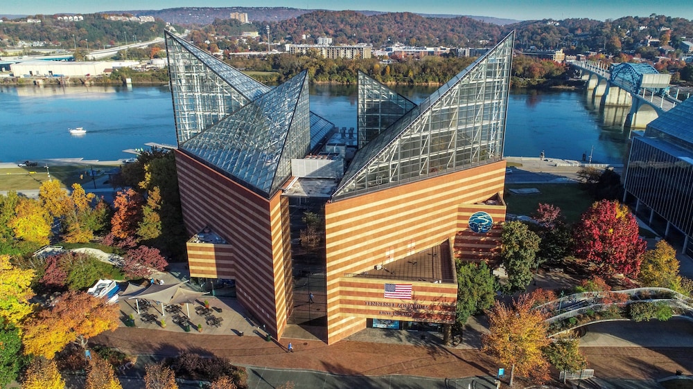 Holiday Inn Express Hotel & Suites Chattanooga Lookout Mtn by IHG - photo 53