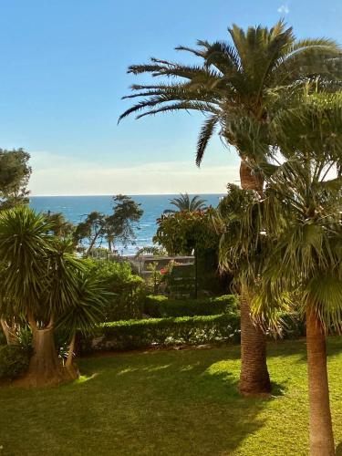 Estudio Sol Del Mar in Torrox, Spain