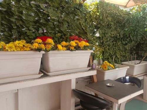 Suite Vecchia Dante — 4-Star Luxury Hotel in Bari, Italy