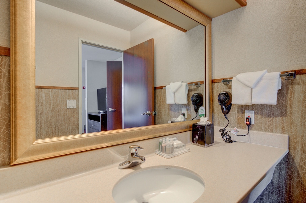 Holiday Inn West Yellowstone by IHG. - photo 91
