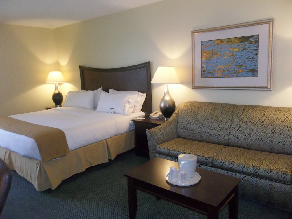 Holiday Inn Express Indianapolis Airport an IHG Hotel - photo 4
