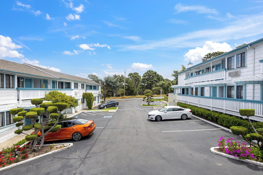 Arbor Inn Monterey - photo 36