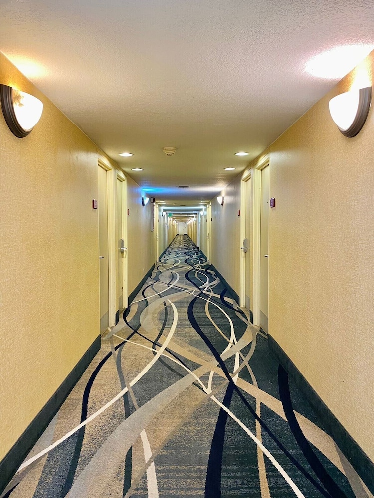 Ocotillo Inn - photo 19
