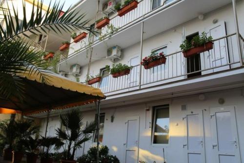 Vita - carbon neutral hotel in Sochi