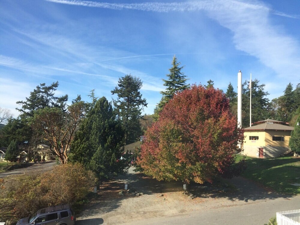 Orcas Hotel - photo 9