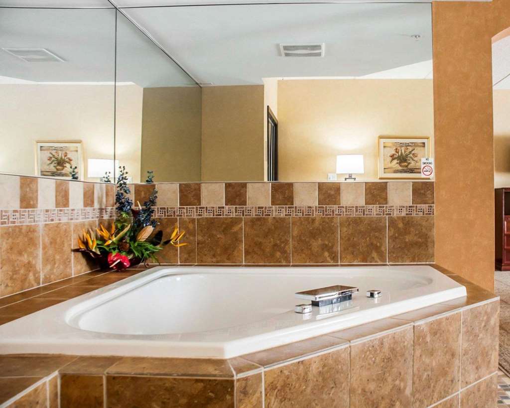 Quality Inn Near Walden Galleria Mall - photo 22
