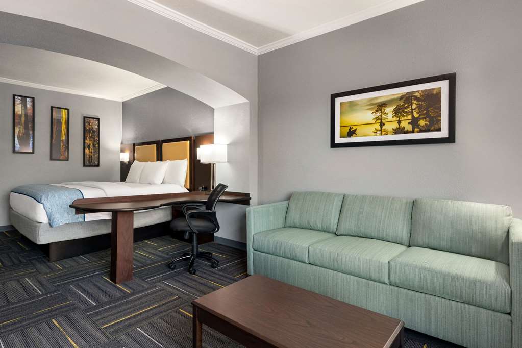 La Quinta Inn & Suites by Wyndham Dublin - photo 33