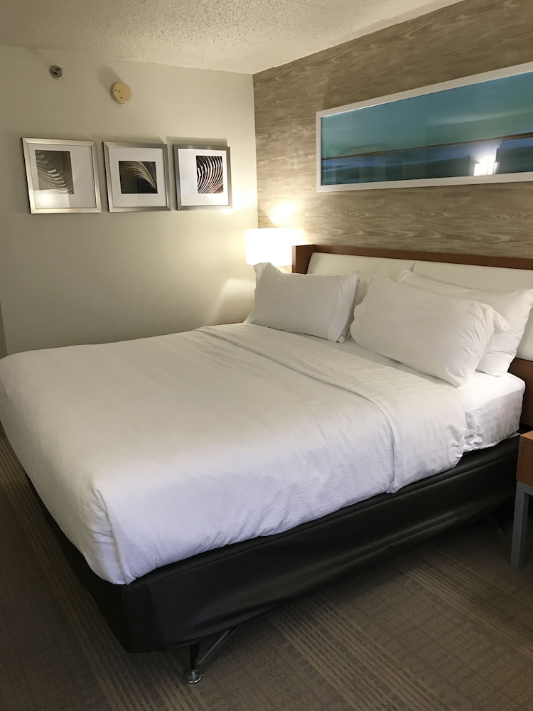 Holiday Inn & Suites Bolingbrook by IHG - photo 6