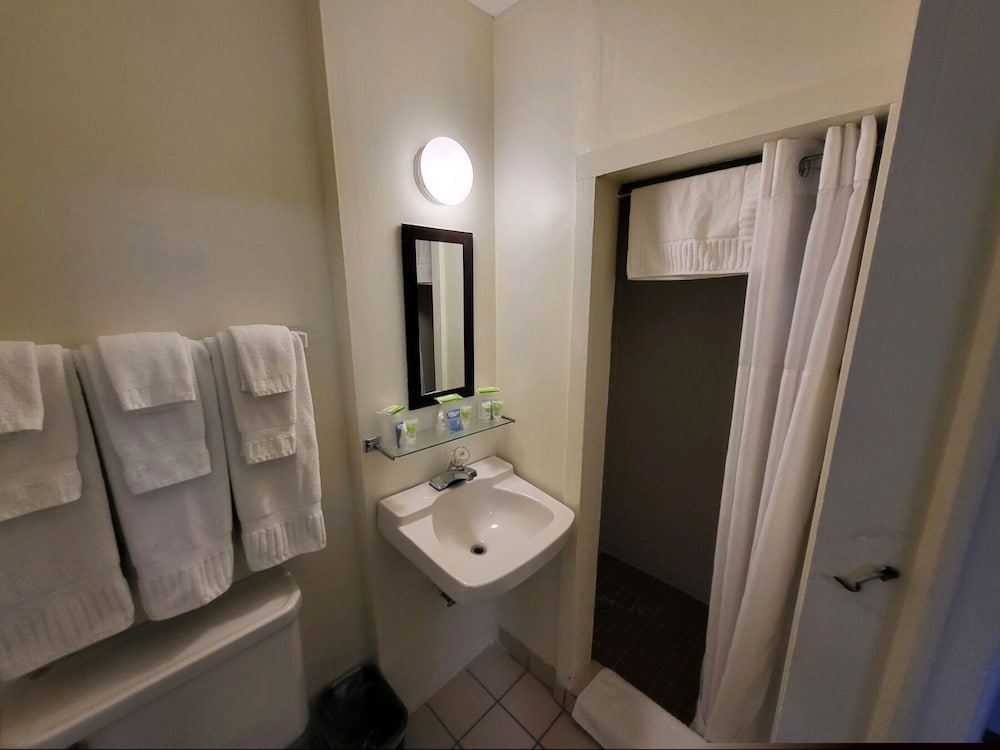 Rose's Motel - photo 75