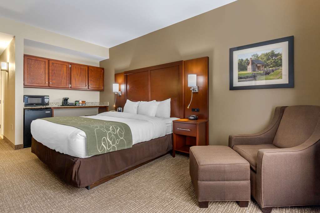 Comfort Suites Johnson City near University - photo 10