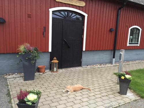 Ramsjögård Hotell — Bastad — photo 3