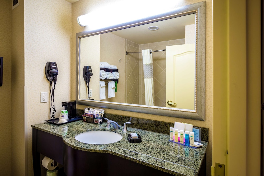 Hampton Inn & Suites Natchez - photo 6