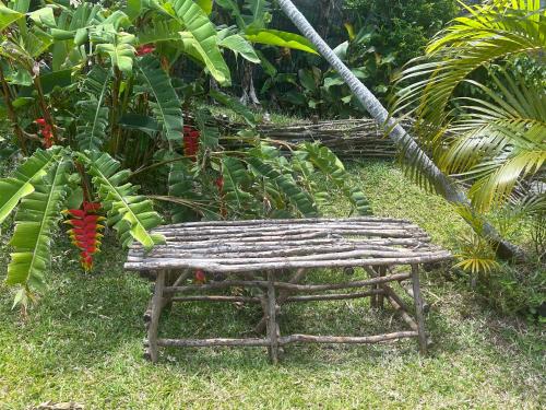 La Case Curcuma — Saint-Joseph — photo 5