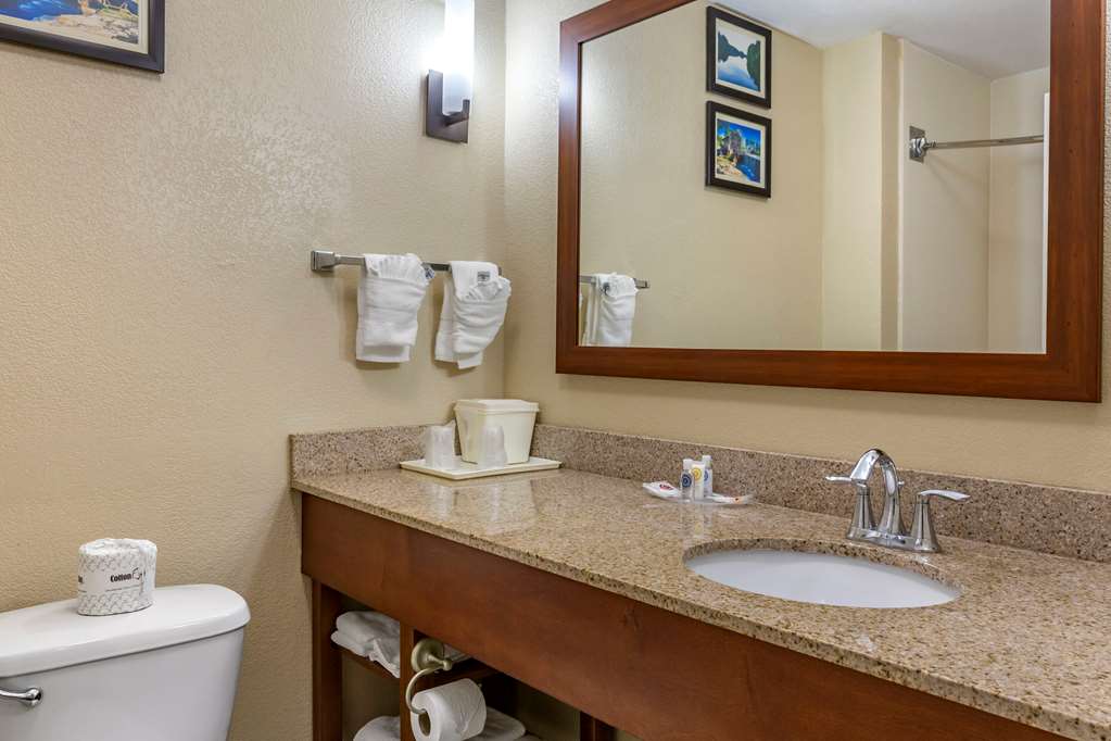Comfort Suites Clayton Garner - photo 7