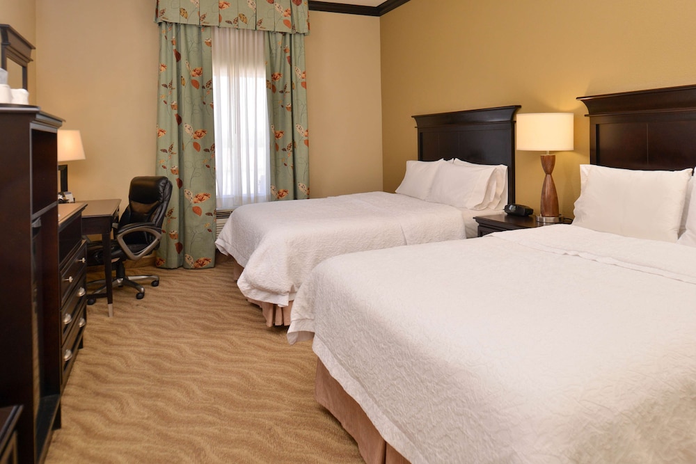 Hampton Inn Van Horn - photo 6