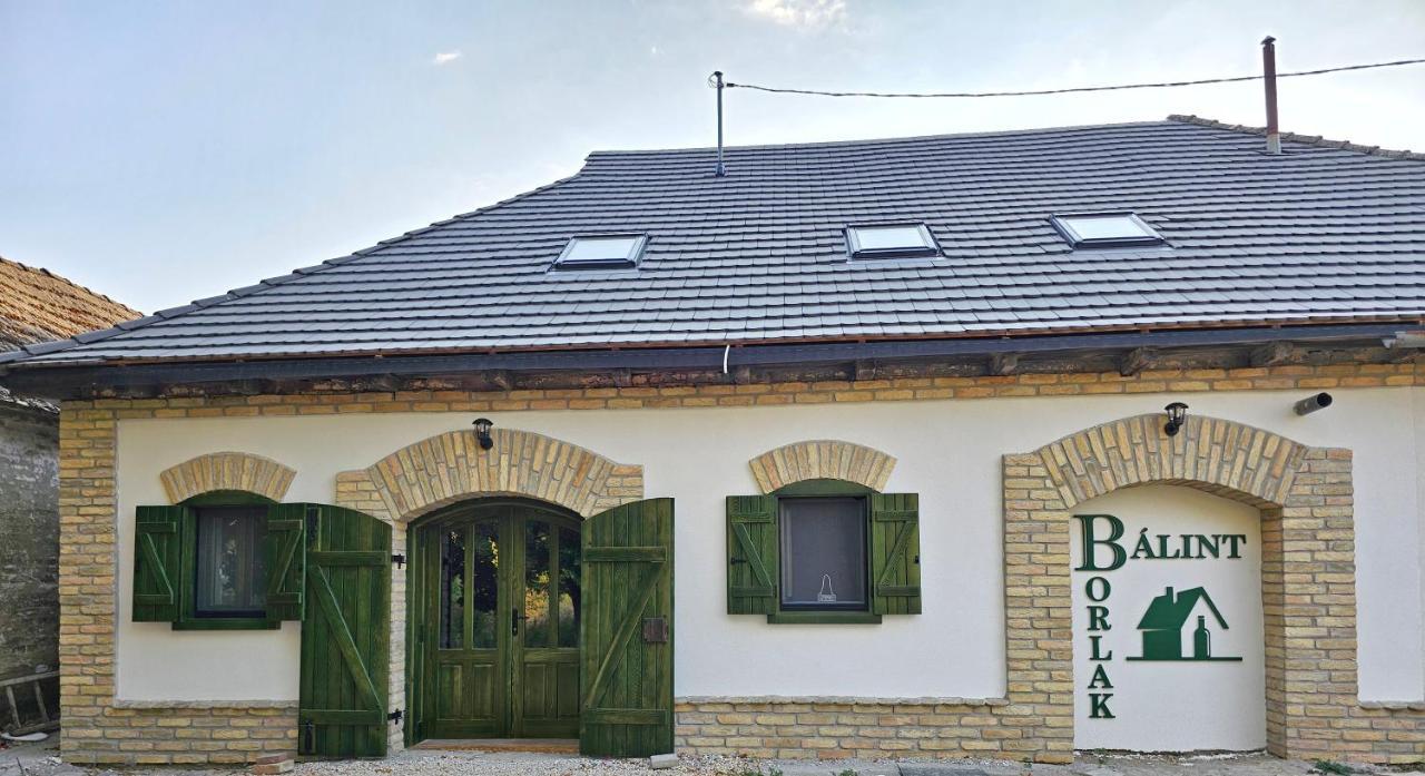 Bálint Borlak - last minute hotel in Hajos